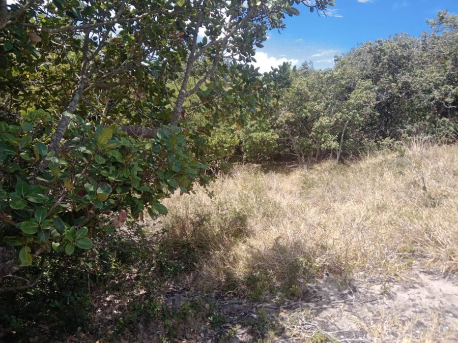 Commercial Property for Sale in Paradise Beach Eastern Cape